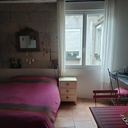 1 Hyper Centre Avec Jardins Angers