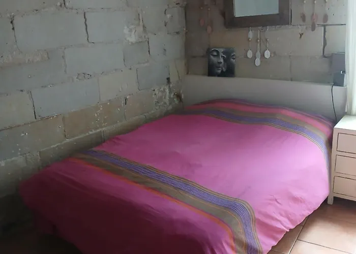 1 Hyper Centre Avec Jardins *